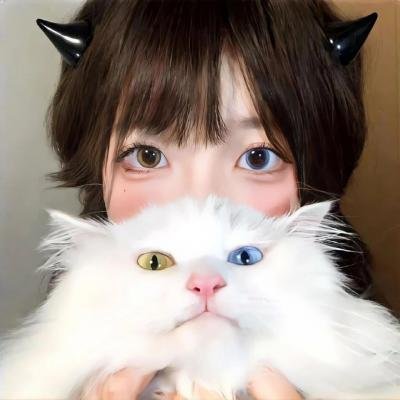 皇家国教骑士团外传：黎明